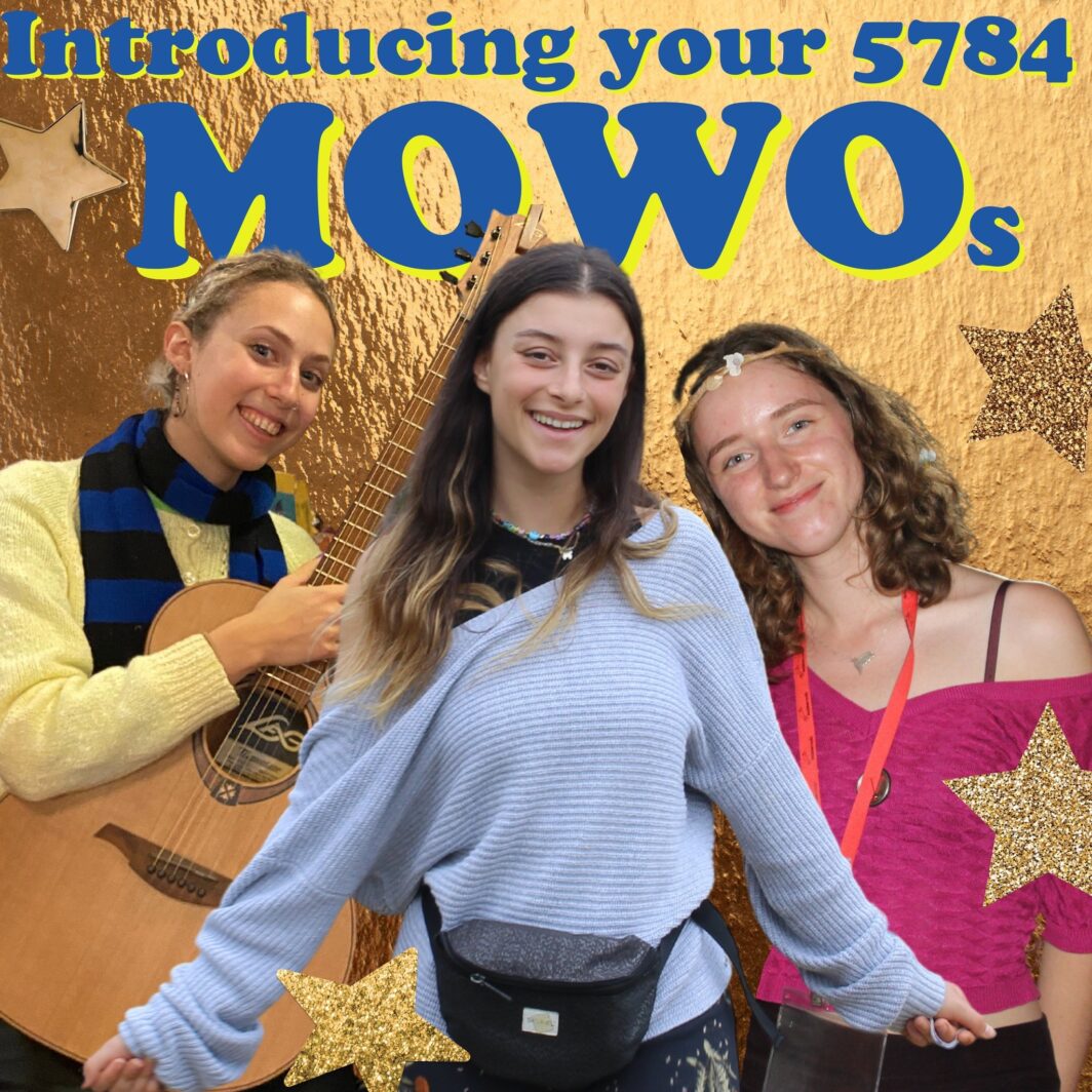 New LJY-Netzer movement workers - Mia Harris, Mia Bogod and Hannah Gellman