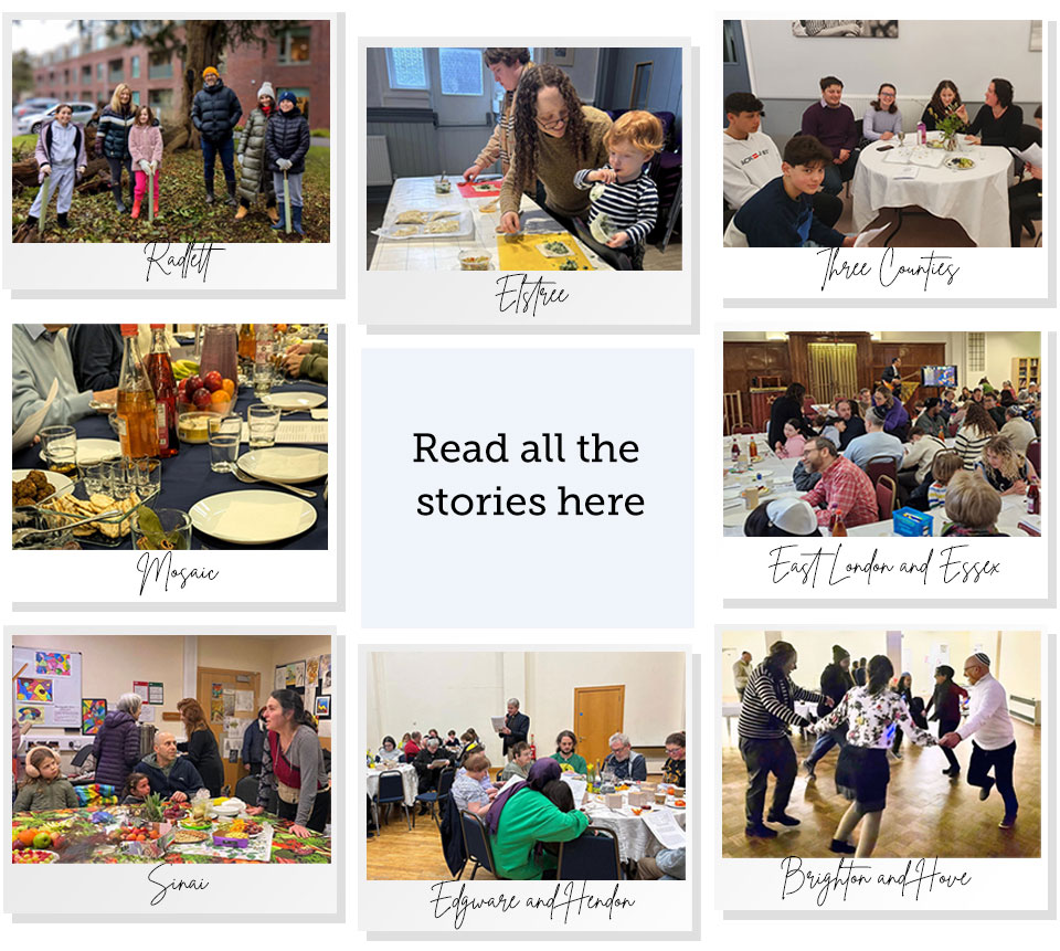 Tu Bishvat montage